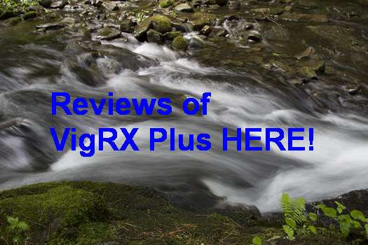 VigRX Plus Gia Bao Nhieu