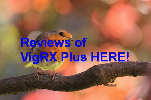 VigRX Plus Daily Dosage