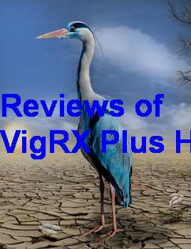 VigRX Plus Where To Buy In India